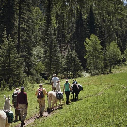 Camping & Hiking