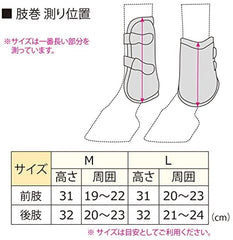 PetEvo - Piaffe EVO dressage boots front