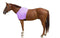 Derby Originals Lycra Stretch Horse Shoulder Guards - Multiple Colors and Sizes