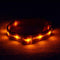 Blazin' Safety LED Dog Collar – USB Rechargeable with Water Resistant Flashing Light