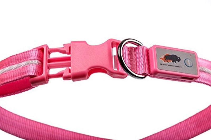 Blazin' Safety LED Dog Collar – USB Rechargeable with Water Resistant Flashing Light