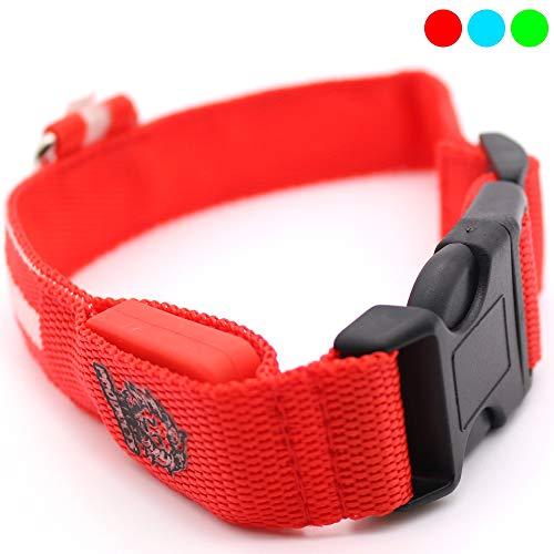 Morpilot LED Dog Collar, USB Rechargeable Light Up Pet Collar, Glowing Night Safety Collar Lights Up for Small and Medium Size Dogs