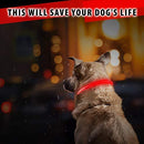 Morpilot LED Dog Collar, USB Rechargeable Light Up Pet Collar, Glowing Night Safety Collar Lights Up for Small and Medium Size Dogs