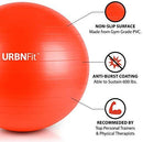 URBNFit Exercise Ball (Multiple Sizes) for Fitness, Stability, Balance & Yoga - Workout Guide & Quick Pump Included - Anti Burst Professional Quality Design