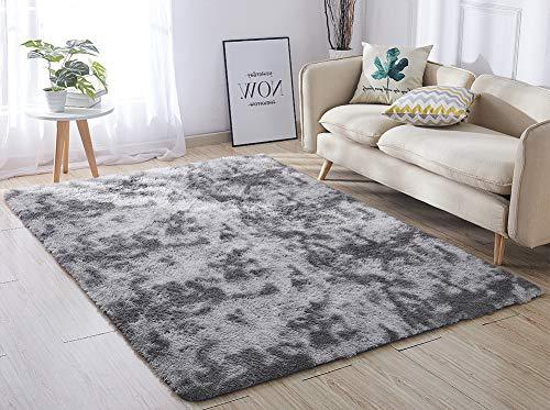 Super Soft Indoor Modern Shag Area Silky Smooth Rugs Living Room Carpet Bedroom Rug for Children PAGISOFE Play Solid Home Decorator Floor Rug and Carpet 4- Feet by 5- Feet (Hot Pink)