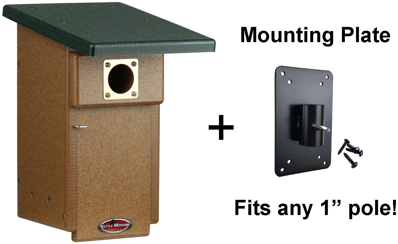 Kettle Moraine Recycled Eastern Bluebird House Nesting Box (1, Blue, Blue)