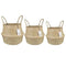 Natural Seagrass Belly Basket with Handles Seagrass Planter for Fig Indoor Plants