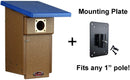 Kettle Moraine Recycled Eastern Bluebird House Nesting Box (1, Blue, Blue)