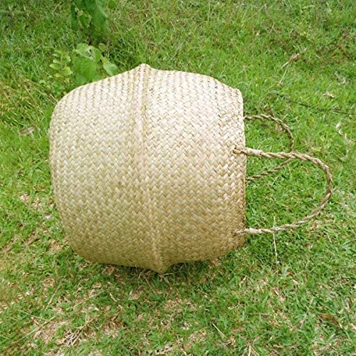 Glass - Blunt Enjoyee Natural Seagrass Woven Storage Pot Tote Belly Basket for Storage, Laundry, Picnic, Plant Pot Cover, and Beach Bag