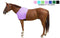 Derby Originals Lycra Stretch Horse Shoulder Guards - Multiple Colors and Sizes