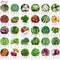 Kraft Seeds 30 Varieties of Vegetable Seeds Exotic Vegetable Healoom Varieties Grow